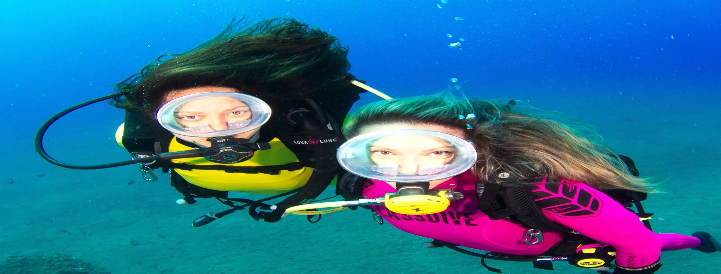 Image for Snorkeling Paradise